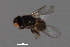  ( - PROBE-TW0128)  @12 [ ] CreativeCommons - Attribution (2009) Unspecified Centre for Biodiversity Genomics