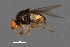  ( - PROBE-TW0130)  @12 [ ] CreativeCommons - Attribution (2009) Unspecified Centre for Biodiversity Genomics