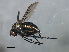  ( - PROBE-TW0149)  @11 [ ] CreativeCommons - Attribution (2009) Unspecified Centre for Biodiversity Genomics
