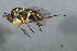  ( - PROBE-TW0150)  @14 [ ] CreativeCommons - Attribution (2009) Unspecified Centre for Biodiversity Genomics
