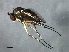  ( - PROBE-TW0151)  @12 [ ] CreativeCommons - Attribution (2009) Unspecified Centre for Biodiversity Genomics