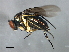  ( - PROBE-TW0152)  @13 [ ] CreativeCommons - Attribution (2009) Unspecified Centre for Biodiversity Genomics