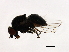  ( - PROBE-TW0261)  @12 [ ] CreativeCommons - Attribution (2009) Unspecified Centre for Biodiversity Genomics