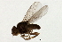  ( - PROBE-TW0274)  @13 [ ] CreativeCommons - Attribution (2009) Unspecified Centre for Biodiversity Genomics