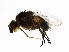  ( - PROBE-TW0299)  @12 [ ] CreativeCommons - Attribution (2009) Unspecified Centre for Biodiversity Genomics