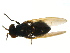  ( - PROBE-TW0380)  @13 [ ] CreativeCommons - Attribution (2009) Unspecified Centre for Biodiversity Genomics