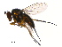  ( - PROBE-TW0395)  @12 [ ] CreativeCommons - Attribution (2009) Unspecified Centre for Biodiversity Genomics