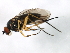  ( - MTDIC-0009)  @13 [ ] CreativeCommons - Attribution (2009) Unspecified Centre for Biodiversity Genomics