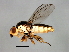  ( - MTDIC-0012)  @13 [ ] CreativeCommons - Attribution (2009) Unspecified Centre for Biodiversity Genomics