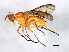  ( - MTDIC-0021)  @13 [ ] CreativeCommons - Attribution (2009) Unspecified Centre for Biodiversity Genomics