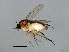  ( - MTDIC-0061)  @14 [ ] CreativeCommons - Attribution (2009) Unspecified Centre for Biodiversity Genomics