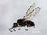  ( - MTDIC-0067)  @14 [ ] CreativeCommons - Attribution (2009) Unspecified Centre for Biodiversity Genomics