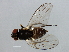  ( - MTDIC-0077)  @11 [ ] CreativeCommons - Attribution (2009) Unspecified Centre for Biodiversity Genomics