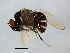  ( - MTDIC-0084)  @13 [ ] CreativeCommons - Attribution (2009) Unspecified Centre for Biodiversity Genomics