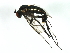  ( - MTDIC-0106)  @13 [ ] CreativeCommons - Attribution (2009) Unspecified Centre for Biodiversity Genomics