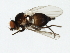  ( - MTDIC-0113)  @13 [ ] CreativeCommons - Attribution (2009) Unspecified Centre for Biodiversity Genomics