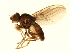  ( - MTDIC-0162)  @13 [ ] CreativeCommons - Attribution (2009) Unspecified Centre for Biodiversity Genomics