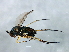  ( - MTDIC-0209)  @14 [ ] CreativeCommons - Attribution (2009) Unspecified Centre for Biodiversity Genomics