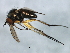  ( - MTDIC-0210)  @14 [ ] CreativeCommons - Attribution (2009) Unspecified Centre for Biodiversity Genomics