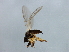  ( - MTDIC-0226)  @12 [ ] CreativeCommons - Attribution (2009) Unspecified Centre for Biodiversity Genomics