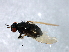  ( - MTDIC-0230)  @13 [ ] CreativeCommons - Attribution (2009) Unspecified Centre for Biodiversity Genomics