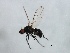  ( - MTDIC-0272)  @12 [ ] CreativeCommons - Attribution (2009) Unspecified Centre for Biodiversity Genomics