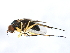  ( - PROBE-TW0159)  @14 [ ] CreativeCommons - Attribution (2009) Unspecified Centre for Biodiversity Genomics
