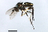  ( - PROBE-TW0169)  @11 [ ] CreativeCommons - Attribution (2009) Unspecified Centre for Biodiversity Genomics