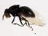  ( - PROBE-TW0267)  @13 [ ] CreativeCommons - Attribution (2009) Unspecified Centre for Biodiversity Genomics