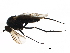  ( - PROBE-TW0285)  @12 [ ] CreativeCommons - Attribution (2009) Unspecified Centre for Biodiversity Genomics