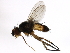  ( - PROBE-TW0301)  @13 [ ] CreativeCommons - Attribution (2009) Unspecified Centre for Biodiversity Genomics