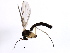  ( - PROBE-TW0356)  @13 [ ] CreativeCommons - Attribution (2009) Unspecified Centre for Biodiversity Genomics
