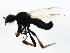  ( - PROBE-TW0400)  @13 [ ] CreativeCommons - Attribution (2009) Unspecified Centre for Biodiversity Genomics