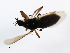  ( - PROBE-TW0402)  @12 [ ] CreativeCommons - Attribution (2009) Unspecified Centre for Biodiversity Genomics