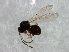  ( - MTHYM-0018)  @13 [ ] CreativeCommons - Attribution (2009) Unspecified Centre for Biodiversity Genomics