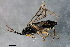  ( - PROBE-TW0460)  @13 [ ] CreativeCommons - Attribution (2009) Unspecified Centre for Biodiversity Genomics