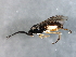  ( - PROBE-TW0461)  @13 [ ] CreativeCommons - Attribution (2009) Unspecified Centre for Biodiversity Genomics
