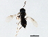  ( - TWPARA-1093)  @12 [ ] CreativeCommons - Attribution (2010) CBG Photography Group Centre for Biodiversity Genomics