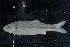  ( - CP10-KWC19-11)  @11 [ ] Copyright (2022) Unspecified Texas A&M University, College Station