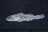  ( - EG15-KWC19-12)  @11 [ ] Copyright (2022) Unspecified Texas A&M University, College Station