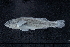 ( - EG2-KWC19-13)  @11 [ ] Copyright (2022) Unspecified Texas A&M University, College Station
