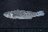  ( - EG4-KWC19-13)  @11 [ ] Copyright (2022) Unspecified Texas A&M University, College Station