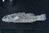  ( - EG8-KWC19-13)  @11 [ ] Copyright (2022) Unspecified Texas A&M University, College Station