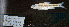  ( - NT1-KWC17-09)  @11 [ ] Copyright (2025) Kevin W Conway Texas A&M University, College Station