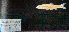  ( - B-KWC-17-16)  @11 [ ] Copyright (2022) Kevin W Conway Texas A&M University, College Station