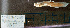  ( - 19677.15)  @11 [ ] Copyright (2025) Kevin W Conway Texas A&M University, College Station