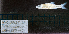  ( - NB1-AKP5-20)  @11 [ ] CreativeCommons - Attribution Share-Alike (2025) Kevin W Conway Texas A&M University, College Station