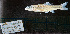  ( - PV1-AKP5-20)  @11 [ ] Copyright (2022) Kevin W Conway Texas A&M University, College Station