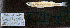 ( - MB2-KWC21-08)  @11 [ ] CreativeCommons - Attribution Share-Alike (2025) Kevin W Conway Texas A&M University, College Station