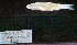  ( - NB1_STN131)  @11 [ ] CreativeCommons - Attribution Share-Alike (2025) Kevin W Conway Texas A&M University, College Station